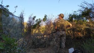 SEGURIDAD EN LA MEDIA VEDA 2