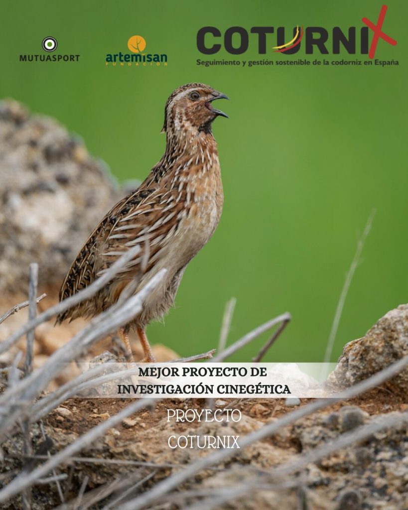 COTURNIX premio EXT