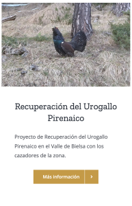 Proyecto Urogallo