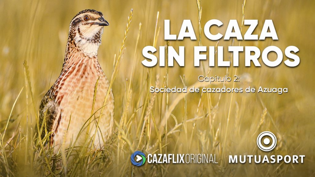 Coturnix Azuaga