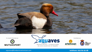 AQUAVES foto1