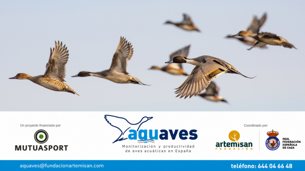 AQUAVES 2