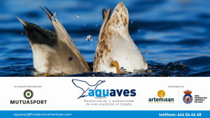 AQUAVES 3