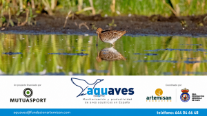 AQUAVES 4