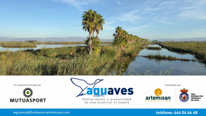 AQUAVES 5